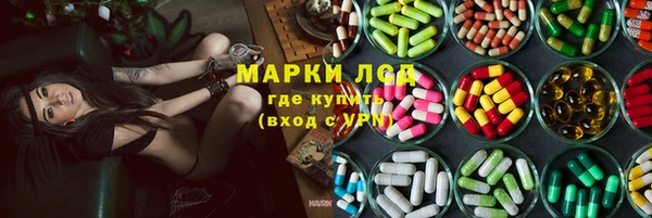 хмурый Алзамай