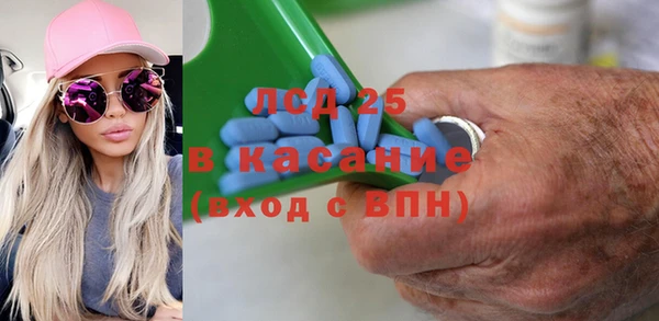 хмурый Алзамай